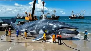 The Incredible Whale Catch 🐋 How Fishermen Work at Sea Deep - Sea Documentary