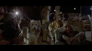 A Boy and His Dog Tribute (song: Roger Miller - Whistle Stop)