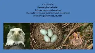 Biyosidal &uuml;r&uuml;n uygulaması (Prof. Dr. H&uuml;seyin &Ccedil;ETİN) Dikkat edilecek Hususlar
