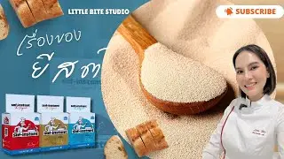 เกร็ดความรู้เกี่ยวกับยีสต์  กับ Saf-instant &reg; และครูปูน