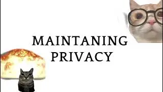 Maintaining Privacy