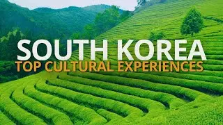 Top Korean Cultural Experiences: The Art of the Tea Ceremony Revealed | South Korea Travel