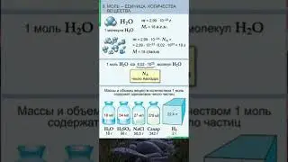 МОЛЬ - единица количества вещества