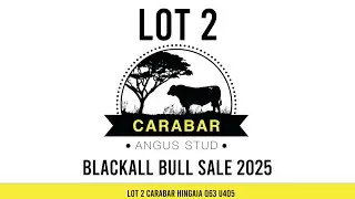Lot 2 Carabar Hingaia Q63 U405