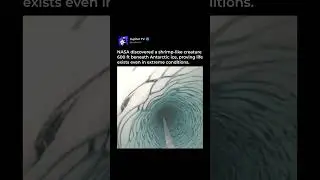 NASA Finds Life Under Ice ❄️