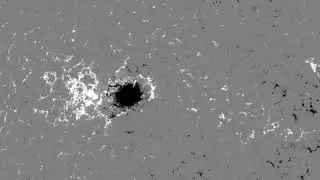 Watch One Giant Sunspot Flow and Ooze
