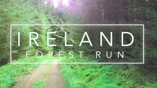 Virtual Running videos for treadmill 4K | Virtual forest run | Virtual jogging scenery 4K | Ireland