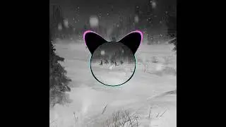 Песня ребят прикиньте тут есть радио (slowed)