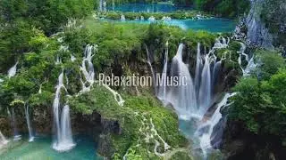Relaxation Music | Natural Sound Brain Therapy with Waves Sounds and Birds Chirping