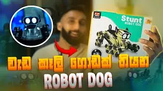 මෙයාගේ වැඩ කෑලි | Temu Robot Dog Review Sinhala 🐶| Budget Smart Toy for Kids | Temu Gadgets Sinhala
