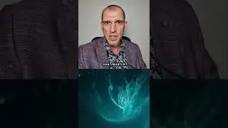 ОНК@ЛОГИЯ 4-й стадии Ответ на комментарий
