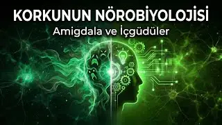 ​KORKUNUN BİLİMİ: BEYNİMİZ TEHLİKEYİ NASIL ALGILAR ? Amigdala, Talamus ve 