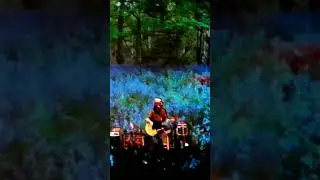 Hawkwind - We Took the Wrong Step Years Ago (unplugged) #hawkwind #davebrock #psychedelicrockmusic