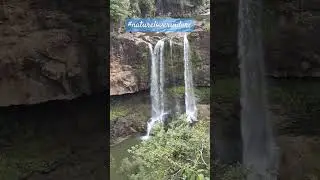#ayyappaswamysongs #trending #funny #lif #travelmontage #travelreel #viralvideo #travel #travelvideo