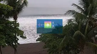 Forerunners #09: World's Most Experienced Surf Forecaster , SoCal During Coronavirus, and...Porn?