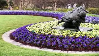 Best Parks in Dallas - The Dallas Arboretum and Botanical Garden (Part 1 of 2)