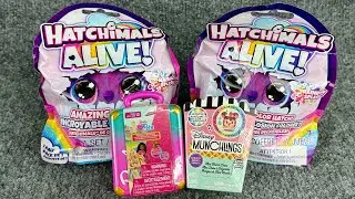 Hatchimals Alive & Disney Munchlings ASMR Unboxing | No Talking, Color-Changing Surprise