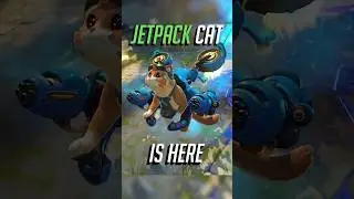 Кот с реактивным ранцем существует на самом деле (Overwatch)