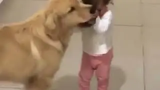 | 9GAG | Big puppy kisses