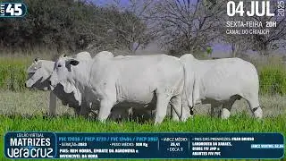 LOTE 45   FVCP 3733,3867, FVC 17036,17404