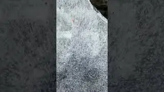 Mesmerizing Bubbles In Thin Layer Of Ice #nature
