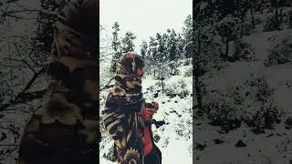 Tariq. Mir. Vlogs. Funny 😂snowfall forest ke andar😂 snow leopard channel ko subscribe