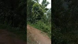 Weather of Gimdi