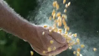 NEOGEN&reg; Food Safety | A Mission That Matters