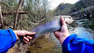 New PB Rainbow Trout!? (Spring Trout Fishing)