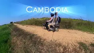 Cambodia Rice Field