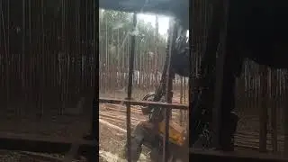Dia dia na colheita com haveste.Deus sempre no comando 