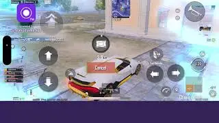 SCRIMS LIVE
