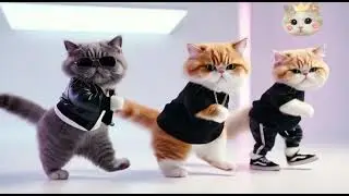 &ldquo;Stylish Cats Dance 💃 Beach Vibes & Room Moves | Fun Cat Video&rdquo;