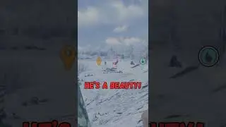 Отличный урожае лося! #cotw #hcotw #cotwclips #callofthewildgameplay #greatone #callofthewild