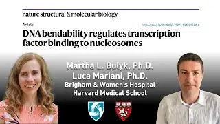 DNA Bendability Regulates Transcription Factor Binding to Nucleosomes (PIONEAR-seq)