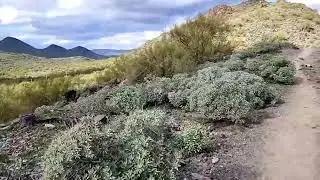 GoJohn, Overton and Clay Mine Trails Hike - Cave Creek Regional Park, Part  2