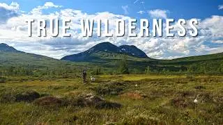 Just Me and My Dog — 3 Weeks in the Norwegian Wilderness