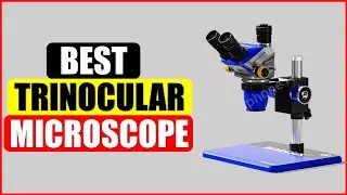 Top 5 Best Trinocular Microscope  in 2024 From AliExpress