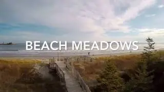 Beach Meadows Beach