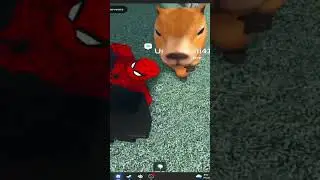 Pov: tu tombe sur un serveur de tar&eacute;s #roblox #roleplay #stealabrainrot #humour #film #gaming #games
