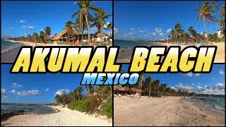 Playa AKUMAL BEACH Walking Tour - Mexico (4k)