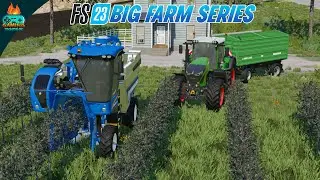 Getting into Olives business - Farming Simulator 23 Big Farm gameplay ep #10