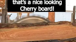 What kind of log is this!!