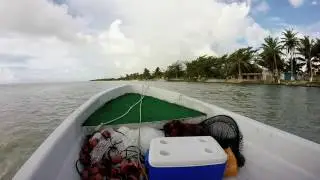 Bonefish Tagging: Xcalak, Mexico