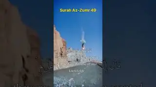 Surah Zumar translation #noadsspend #noadsspend #viral #home #tiktok #qariabdulbasit #youtubes