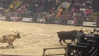 PBR Touring Pro 2019