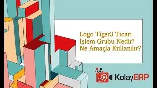 Logo Tiger3 Ticari İşlem Grubu Nedir? Ne Amaçla Kullanılır?