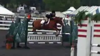 Pony Jumpers in Quentin, PA