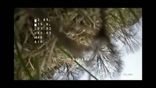 EMax Cinehawk 3.5 | Lost Power to Motors
