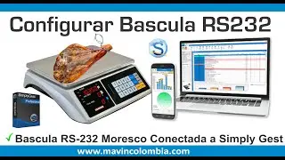 Como configurar bascula RS232 en Simply Gest Profesional